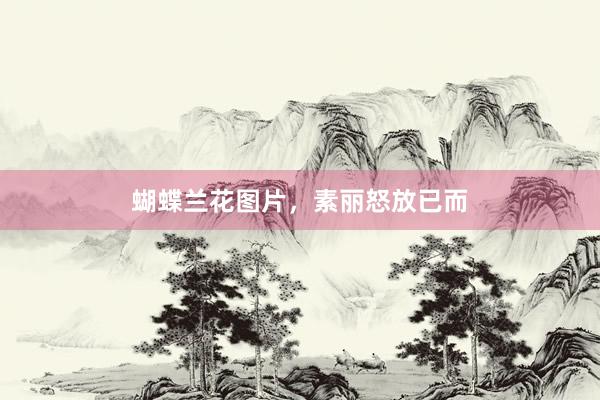 蝴蝶兰花图片，素丽怒放已而