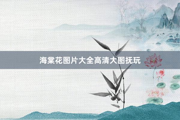 海棠花图片大全高清大图抚玩