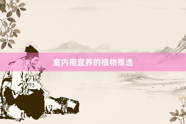 室内相宜养的植物推选