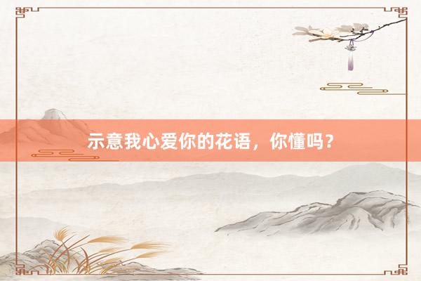 示意我心爱你的花语，你懂吗？