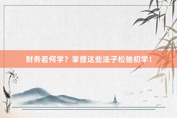 财务若何学？掌捏这些法子松驰初学！
